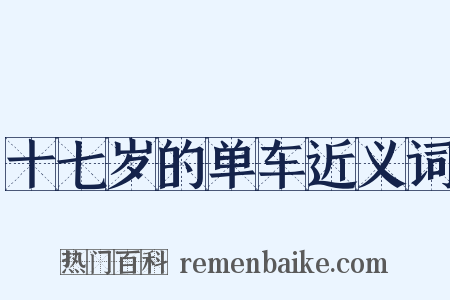 十七岁的单车近义词是什么意思的图片